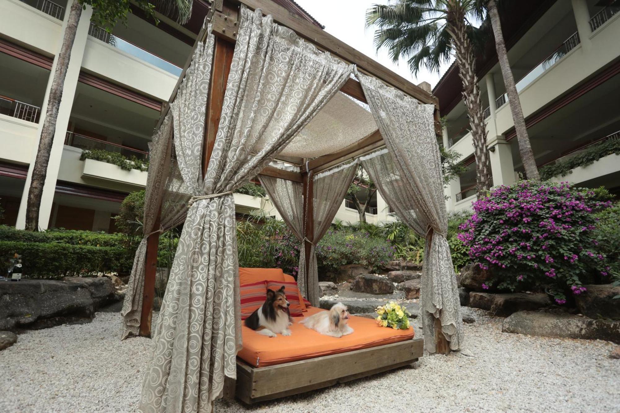 Mission Hills Hotel Resorts Шэньчжэнь Экстерьер фото